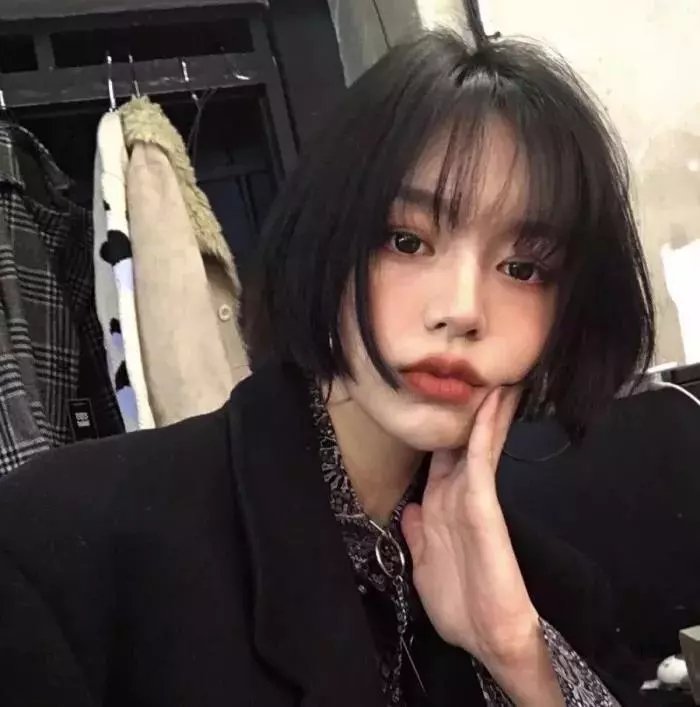 翱翔于天际的夜鹰